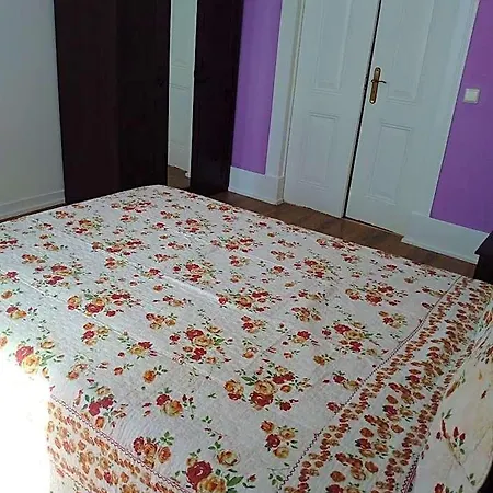 Auberge de jeunesse Cenario Catita *
