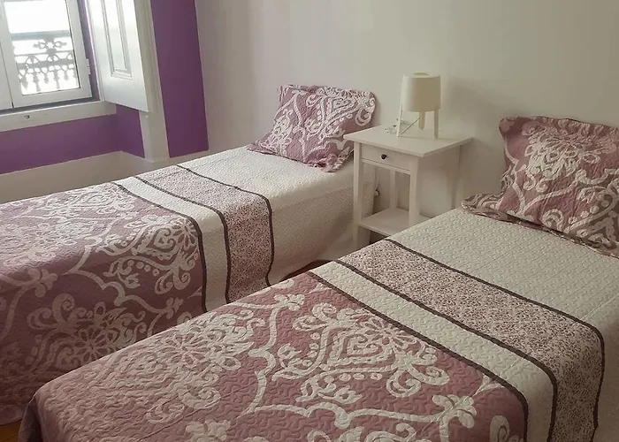 بيت شباب Cenario Catita