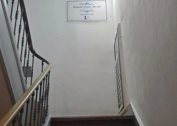 Cenário Catita Ostello Lisbona